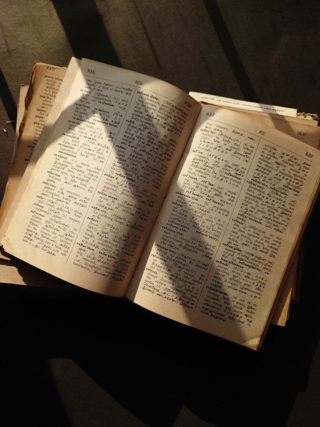 A closeup of an open English dictionary.
