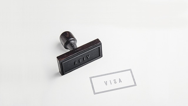 A black rubber stamp applies “Visa” on a white surface.